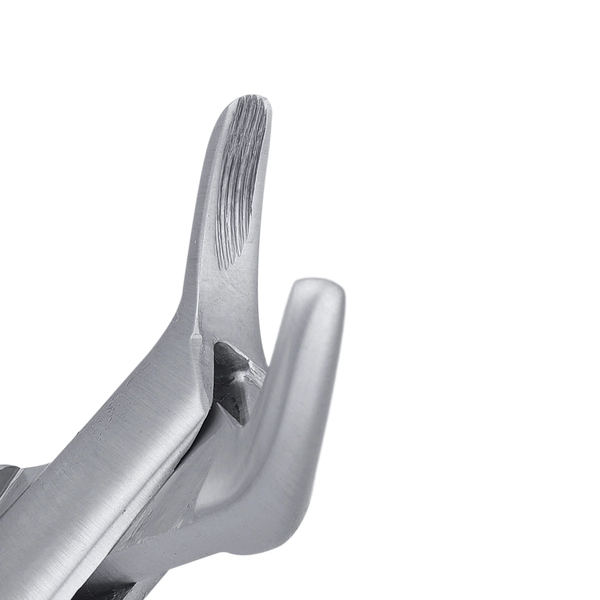 151K Lower Primary Incisors & Roots Extraction Forcep