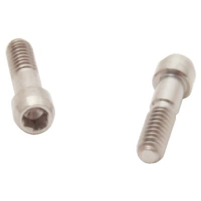 Abutment Screws – Astra Tech, 2/Pkg