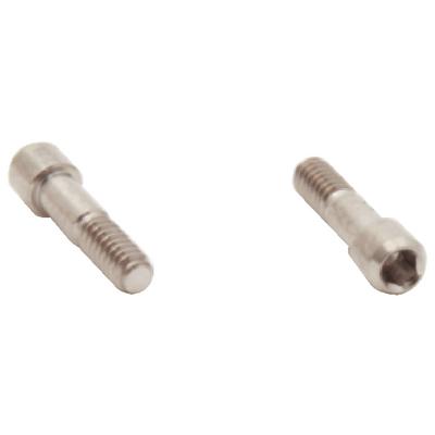 Abutment Screws – Biomet 3i, 2/Pkg