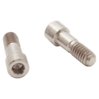 Abutment Screws – Zimmer, 2/Pkg