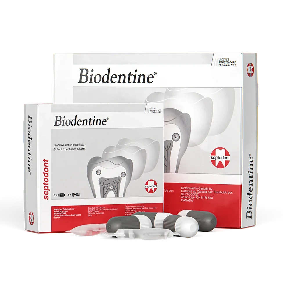 Biodentin by Septodont - Bioactive Dentin Substitute for Dental Restorations