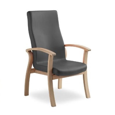 Resident Room Chairs - SilverAge Series