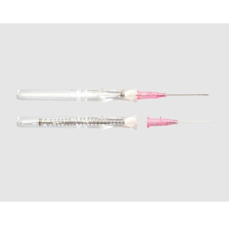 BD Insyte™ Autoguard™ Catheter, Winged