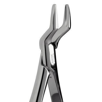 Extracting Forceps – # 65, Maxillary - 3Z Dental